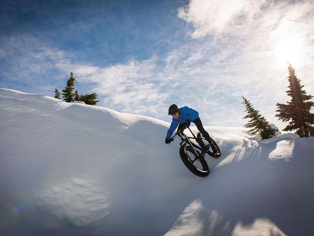 fat bike