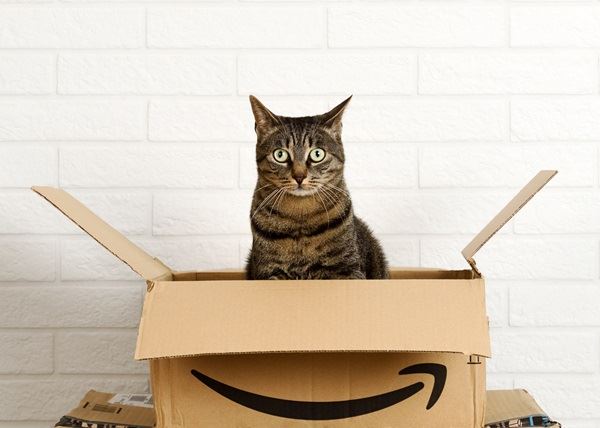 amazon gatto e scatola