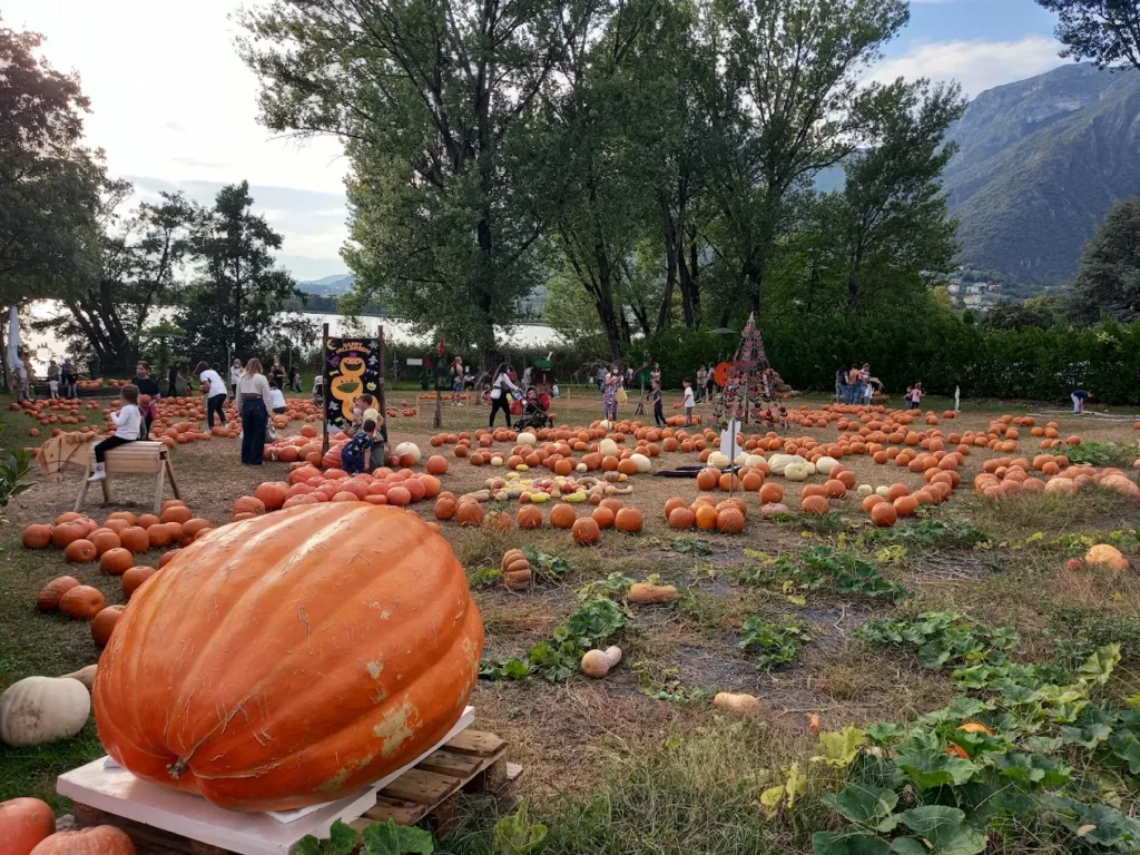 Il campo dei fiori LECCO
